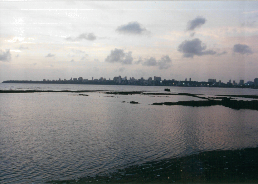 bombay1.jpg