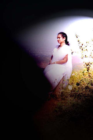 c833.jpg